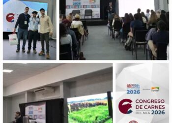 INFO RURAL: PARTICIPACIÓN DEL INTA  EN EL CONGRESO DE CARNES DEL NEA 2026