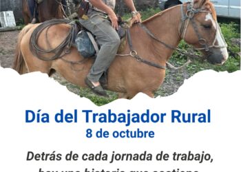 INFO RURAL: INTA RECONOCE EL DÍA DEL TRABAJADOR RURAL Y BRINDA RECOMENDACIONES SOBRE EL CULTIVO DE LA MANDIOCA