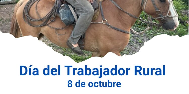 INFO RURAL: INTA RECONOCE EL DÍA DEL TRABAJADOR RURAL Y BRINDA RECOMENDACIONES SOBRE EL CULTIVO DE LA MANDIOCA