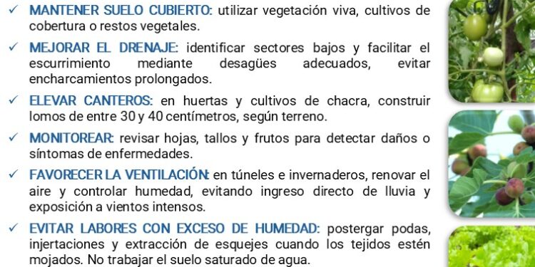 INFO RURAL – CRUCIALES RECOMENDACIONES DE INTA PARA EL SÉCTOR AGRICULTOR