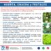 INFO RURAL – CRUCIALES RECOMENDACIONES DE INTA PARA EL SÉCTOR AGRICULTOR