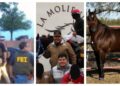 EEUU sanciona a empresas del Cártel del Noreste que lavan dinero con carreras de caballos en Tamaulipas y Texas