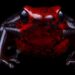 Científicos descubren una nueva especie de rana venenosa que los desconcierta por sus características