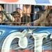 La bronca de los hinchas de San Lorenzo que fueron a Varela: «Que se vayan todos…»