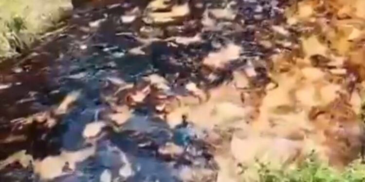 Un derrame de petróleo contaminó un río y obligó a cortar el agua potable en Ecuador