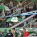 Atento Banfield: así será el ingreso de los hinchas en Tigre