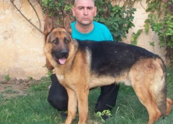 El adiestrador de perros que suma dos condenas por plantar pruebas irá a juicio por el caso Araceli Fulles