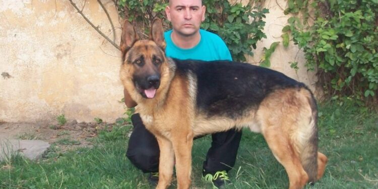 El adiestrador de perros que suma dos condenas por plantar pruebas irá a juicio por el caso Araceli Fulles