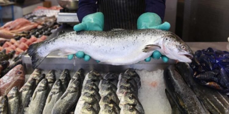 Pidieron por internet pescado para comer y lo que les llegó los aterrorizó