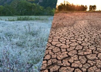 LA ONU ADVIRTIÓ QUE EL FENÓMENO «EL NIÑO», PUEDE ACANZAR UNA INTENSIDAD SIN PRECEDENTES