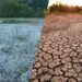 LA ONU ADVIRTIÓ QUE EL FENÓMENO «EL NIÑO», PUEDE ACANZAR UNA INTENSIDAD SIN PRECEDENTES