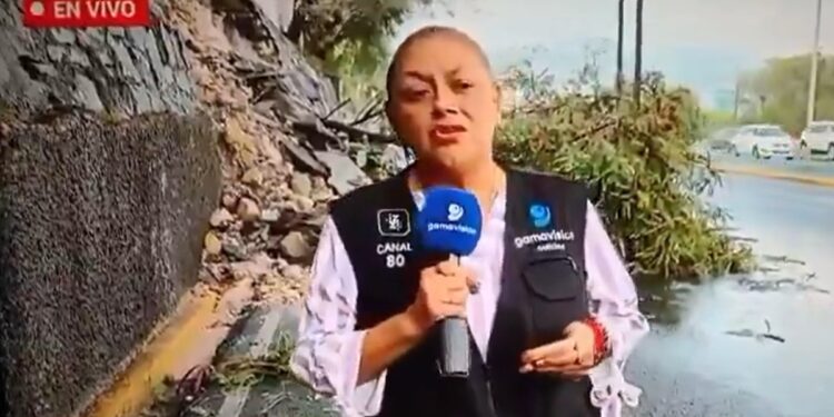 Estremecedor momento en la TV mexicana: una reportera fue atropellada durante una cobertura en vivo