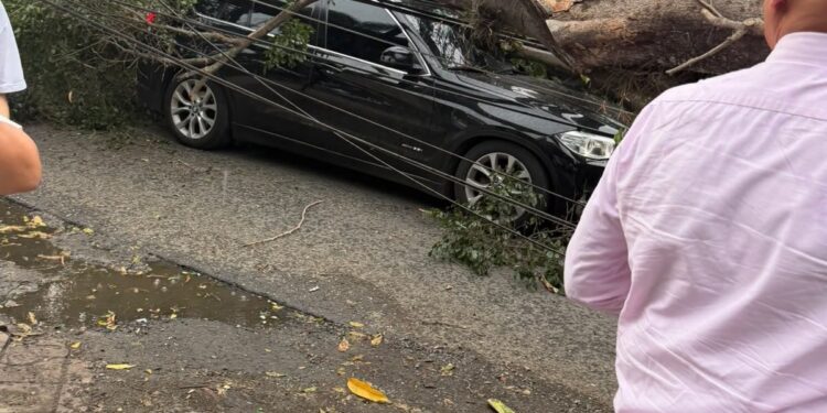 Tremendo accidente de un ex San Lorenzo y Banfield en Colombia