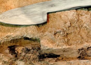Descubren que los neandertales usaban la madera para fabricar lanzas, recipientes y hasta una posible maza