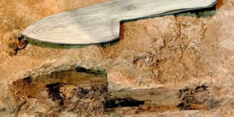 Descubren que los neandertales usaban la madera para fabricar lanzas, recipientes y hasta una posible maza
