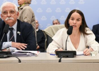 «Te estás cagando de risa, nena»: el exabrupto del jefe del bloque K en Diputados contra una funcionaria de Milei que defendió la Ley Malvinas