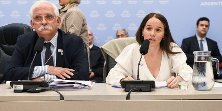 El oficialismo desactiva la sesión opositora por el DNU 70 pero se dilata el proyecto Malvinas